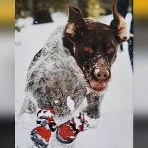 Ruffwear Polar trex dog boots size L